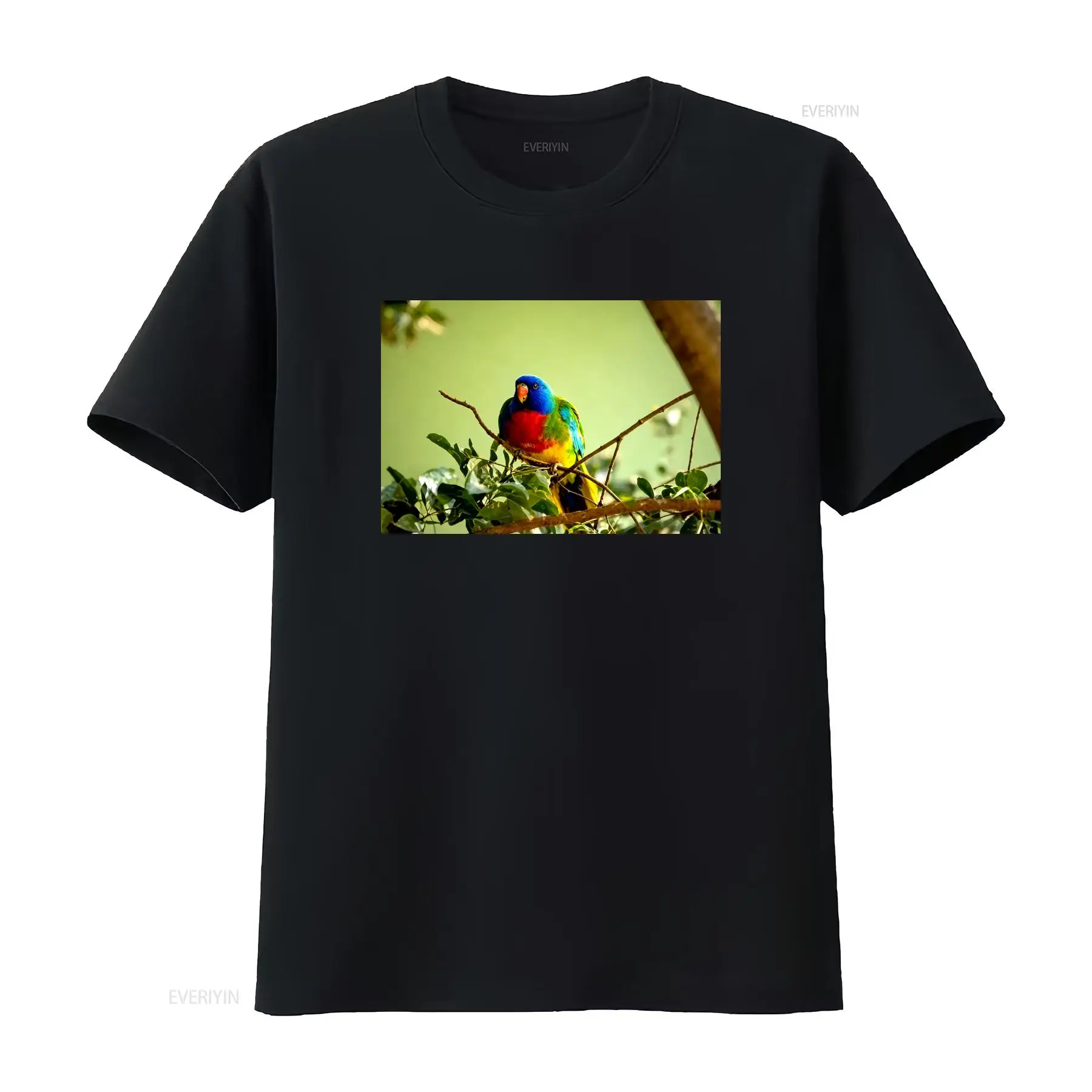 Scarlet Chested Parrot Made in - Mens Fashion Australia review and price
