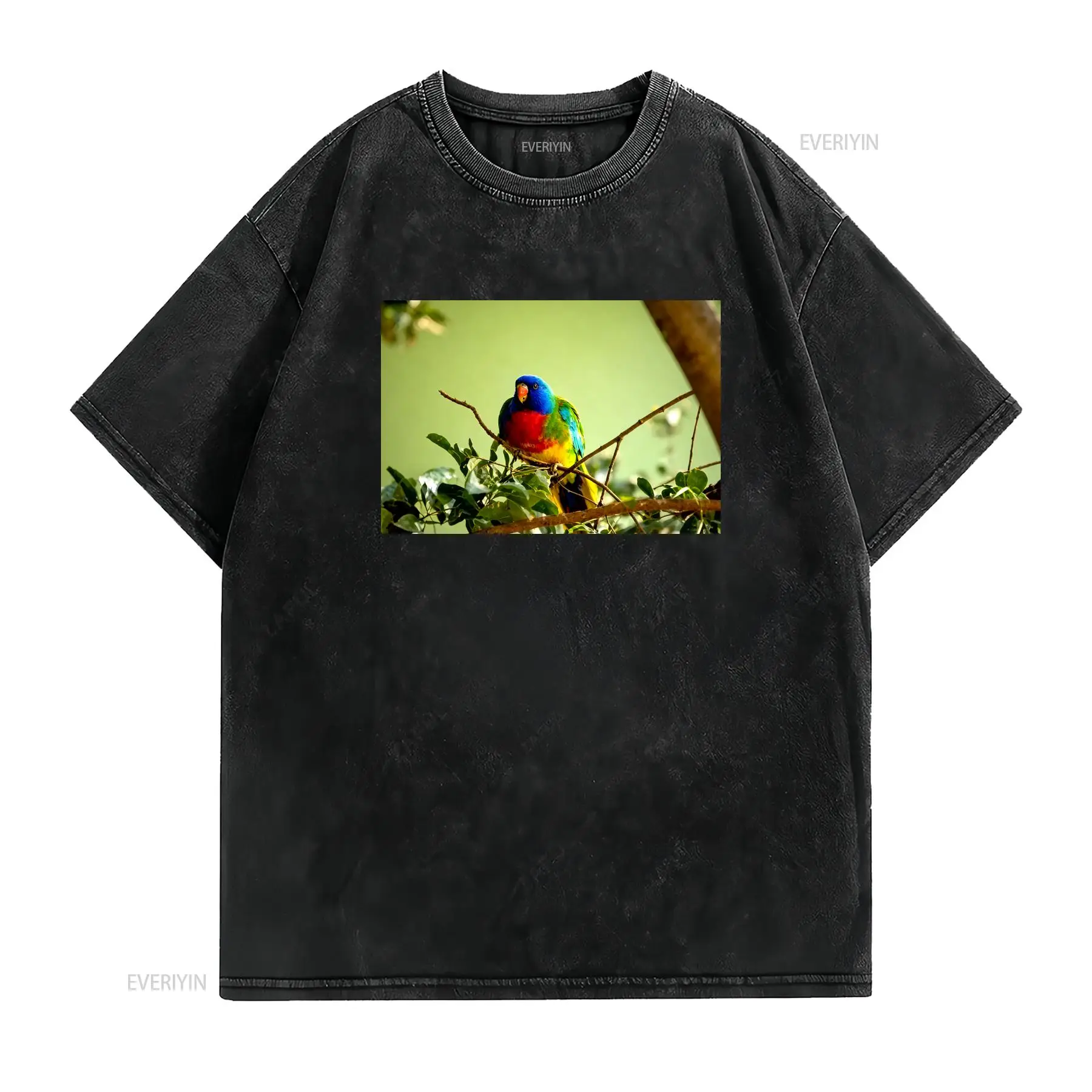 Scarlet Chested Parrot Made in - Mens Fashion Australia review and price