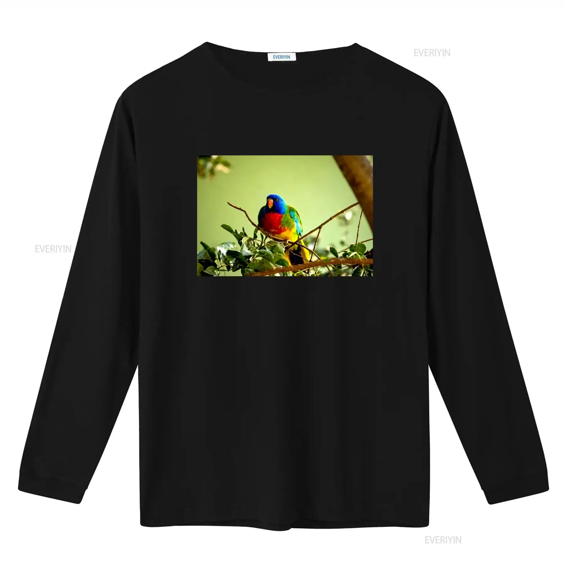Scarlet Chested Parrot Made in - Mens Fashion Australia review and price