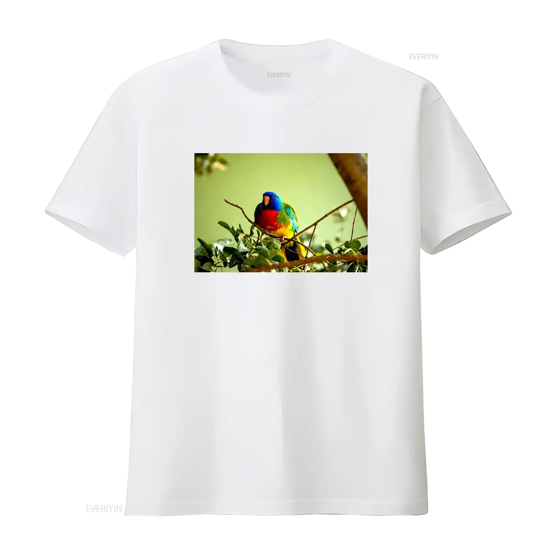 Scarlet Chested Parrot Made in - Mens Fashion Australia review and price